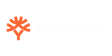 YGD